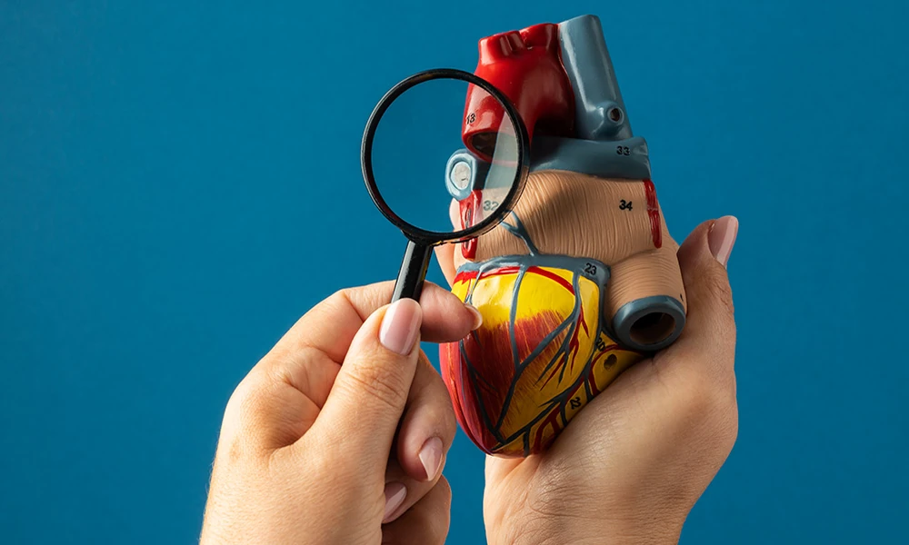 Cardiologist in Mumbai for Heart Valve Problems: Murmurs, Echo Findings and When You Need a Valve Specialist